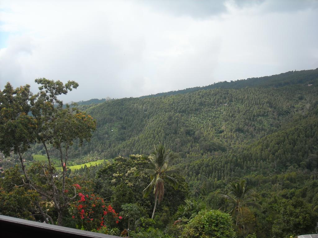 Warung Jojo And Homestay Munduk Zewnętrze zdjęcie
